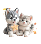 シベリアンハスキーとねこ♡文字なし（個別スタンプ：10）