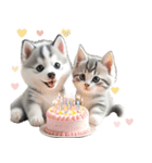 シベリアンハスキーとねこ♡文字なし（個別スタンプ：23）