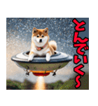 長野弁☆柴犬（個別スタンプ：13）