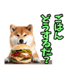 長野弁☆柴犬（個別スタンプ：32）