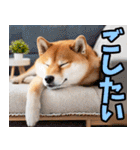 長野弁☆柴犬（個別スタンプ：38）