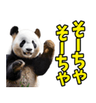 大分弁☆パンダ（個別スタンプ：2）