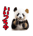 大分弁☆パンダ（個別スタンプ：6）