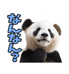 大分弁☆パンダ（個別スタンプ：7）