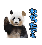 大分弁☆パンダ（個別スタンプ：14）