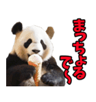 大分弁☆パンダ（個別スタンプ：18）