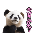 大分弁☆パンダ（個別スタンプ：22）