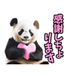 大分弁☆パンダ（個別スタンプ：28）
