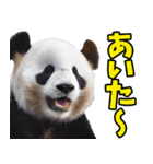 大分弁☆パンダ（個別スタンプ：35）