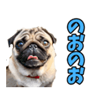 福井弁☆わんこ（個別スタンプ：3）