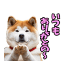 福井弁☆わんこ（個別スタンプ：15）