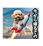 福井弁☆わんこ（個別スタンプ：17）