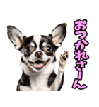 福井弁☆わんこ（個別スタンプ：19）