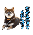 福井弁☆わんこ（個別スタンプ：33）