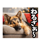 福井弁☆わんこ（個別スタンプ：40）