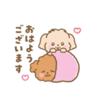 トイプー❤️マルプー❤️マルチーズ（個別スタンプ：1）