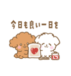 トイプー❤️マルプー❤️マルチーズ（個別スタンプ：2）