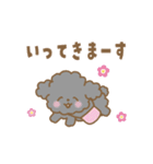 トイプー❤️マルプー❤️マルチーズ（個別スタンプ：8）