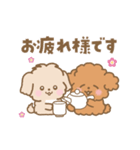 トイプー❤️マルプー❤️マルチーズ（個別スタンプ：10）