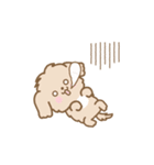 トイプー❤️マルプー❤️マルチーズ（個別スタンプ：12）