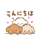 トイプー❤️マルプー❤️マルチーズ（個別スタンプ：13）