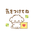 トイプー❤️マルプー❤️マルチーズ（個別スタンプ：15）