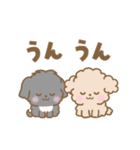 トイプー❤️マルプー❤️マルチーズ（個別スタンプ：22）