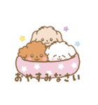 トイプー❤️マルプー❤️マルチーズ（個別スタンプ：23）