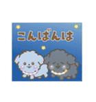 トイプー❤️マルプー❤️マルチーズ（個別スタンプ：24）