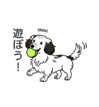 名前入りダックスソリブラパイボールド（個別スタンプ：1）