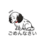 名前入りダックスソリブラパイボールド（個別スタンプ：2）