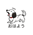 名前入りダックスソリブラパイボールド（個別スタンプ：3）