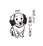 名前入りダックスソリブラパイボールド（個別スタンプ：4）