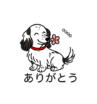 名前入りダックスソリブラパイボールド（個別スタンプ：5）