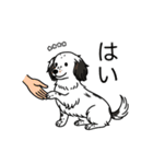 名前入りダックスソリブラパイボールド（個別スタンプ：6）