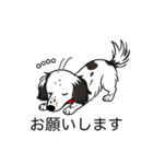 名前入りダックスソリブラパイボールド（個別スタンプ：7）