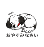 名前入りダックスソリブラパイボールド（個別スタンプ：9）