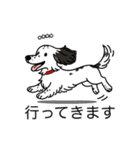 名前入りダックスソリブラパイボールド（個別スタンプ：13）