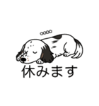 名前入りダックスソリブラパイボールド（個別スタンプ：16）