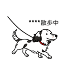 名前入りダックスソリブラパイボールド（個別スタンプ：17）