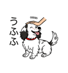 名前入りダックスソリブラパイボールド（個別スタンプ：19）