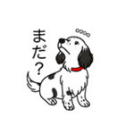 名前入りダックスソリブラパイボールド（個別スタンプ：20）