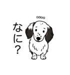 名前入りダックスソリブラパイボールド（個別スタンプ：22）