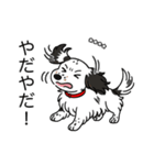 名前入りダックスソリブラパイボールド（個別スタンプ：23）