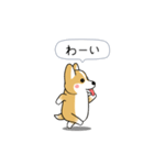激しく尻尾をふるコーギー2（個別スタンプ：2）