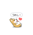 激しく尻尾をふるコーギー2（個別スタンプ：4）