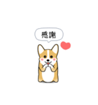 激しく尻尾をふるコーギー2（個別スタンプ：5）