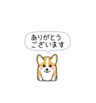 激しく尻尾をふるコーギー2（個別スタンプ：6）