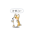 激しく尻尾をふるコーギー2（個別スタンプ：13）