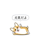 激しく尻尾をふるコーギー2（個別スタンプ：14）
